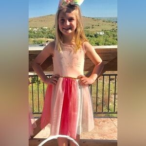 Pink Violet Dress